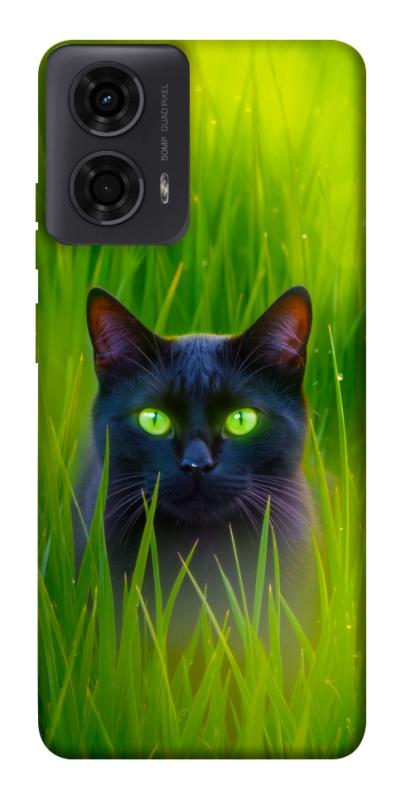 Чехол itsPrint Cat in the grass для Motorola Moto G24, животные, купить оптом с доставкой