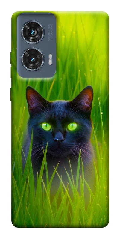 Чохол itsPrint Cat in the grass для Motorola Edge 50 Fusion, тварини, купити оптом з доставкою