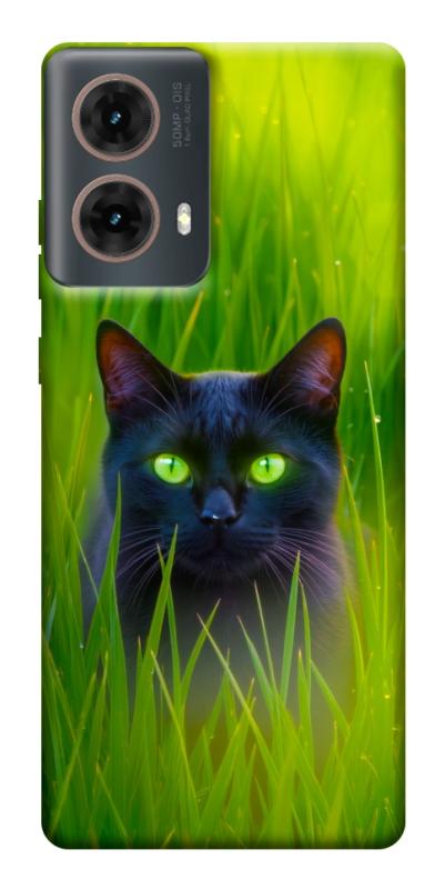 Чехол itsPrint Cat in the grass для Motorola Moto G85, животные, купить оптом с доставкой