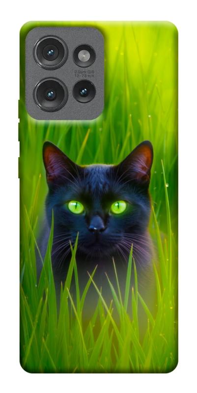 Чехол itsPrint Cat in the grass для Motorola Edge 50, животные, купить оптом с доставкой