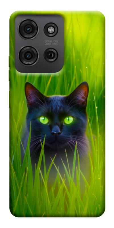 Чехол itsPrint Cat in the grass для Motorola Moto G75 5G, животные, купить оптом с доставкой