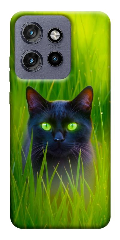 Чехол itsPrint Cat in the grass для Motorola Edge 50 Neo, животные, купить оптом с доставкой