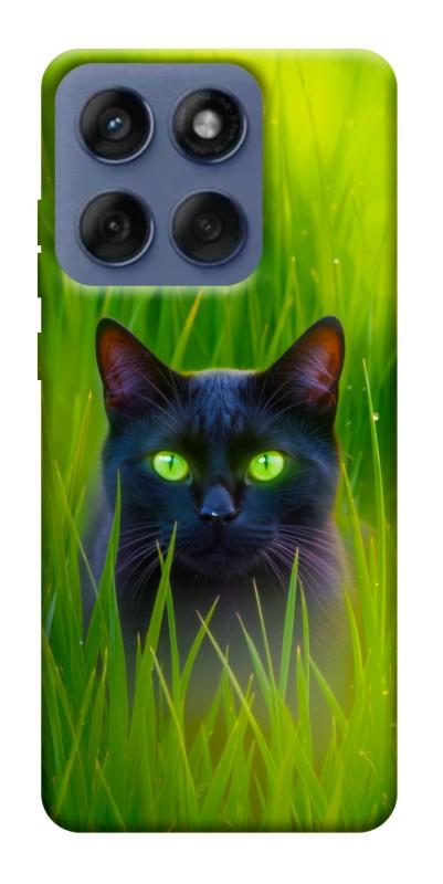 Чехол itsPrint Cat in the grass для Motorola Edge 60 Fusion, животные, купить оптом с доставкой