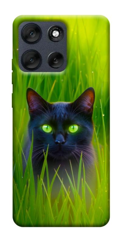 Чехол itsPrint Cat in the grass для Motorola Moto G56 5G, животные, купить оптом с доставкой