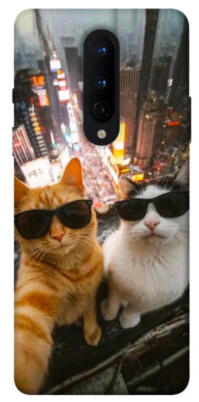 Чохол itsPrint Cool cats city для OnePlus 8, котики, купити оптом з доставкою