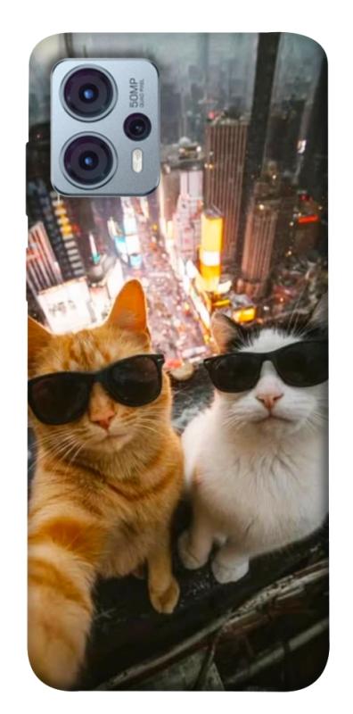 Чехол itsPrint Cool cats city для Motorola Moto G23, животные, купить оптом с доставкой
