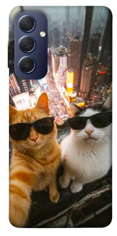 Чехол itsPrint Cool cats city для Samsung Galaxy M54 5G, котики, купить оптом с доставкой