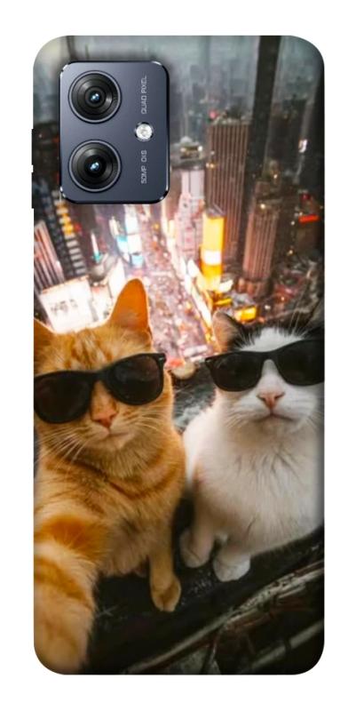 Чехол itsPrint Cool cats city для Motorola Moto G54, животные, купить оптом с доставкой