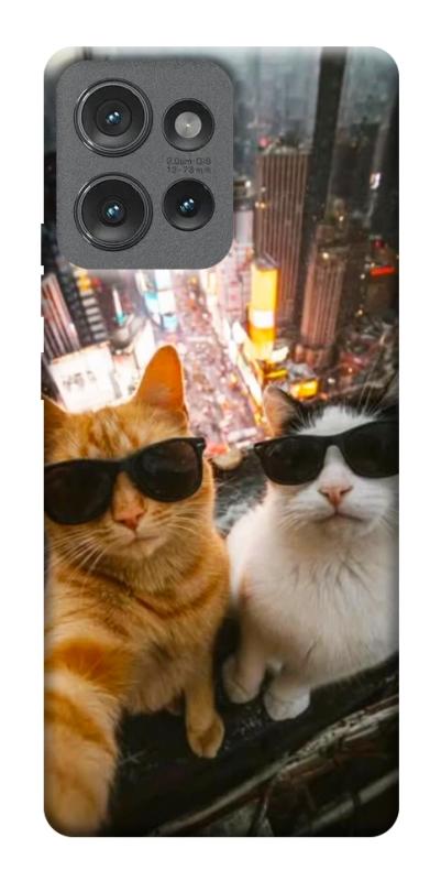 Чехол itsPrint Cool cats city для Motorola Edge 50, котики, купить оптом с доставкой