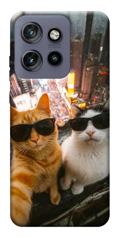 Чохол itsPrint Cool cats city для Motorola Edge 50 Neo, котики, купити оптом з доставкою