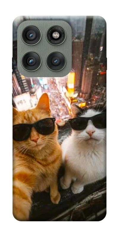 Чехол itsPrint Cool cats city для Motorola Edge 60 Pro, котики, купить оптом с доставкой