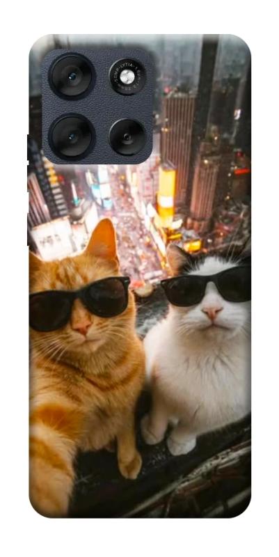 Чехол itsPrint Cool cats city для Motorola Moto G56 5G, животные, купить оптом с доставкой