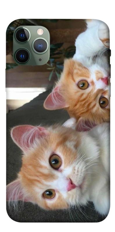 Чехол itsPrint Fluffy Duo для Apple iPhone 11 Pro (5.8"), животные, купить оптом с доставкой