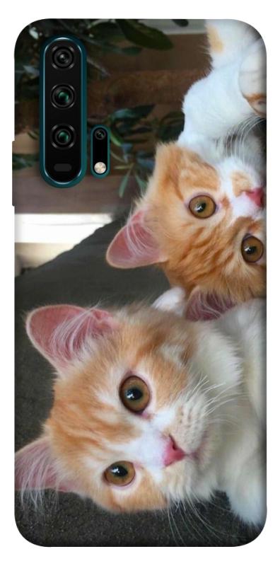 Чехол itsPrint Fluffy Duo для Huawei Honor 20 Pro, животные, купить оптом с доставкой