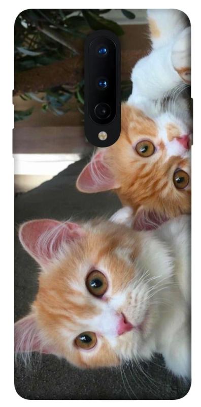 Чохол itsPrint Fluffy Duo для OnePlus 8, тварини, купити оптом з доставкою