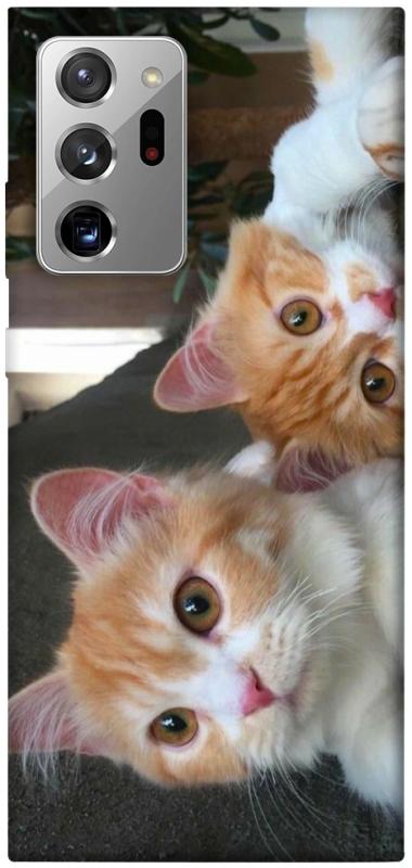 Чехол itsPrint Fluffy Duo для Samsung Galaxy Note 20 Ultra, животные, купить оптом с доставкой