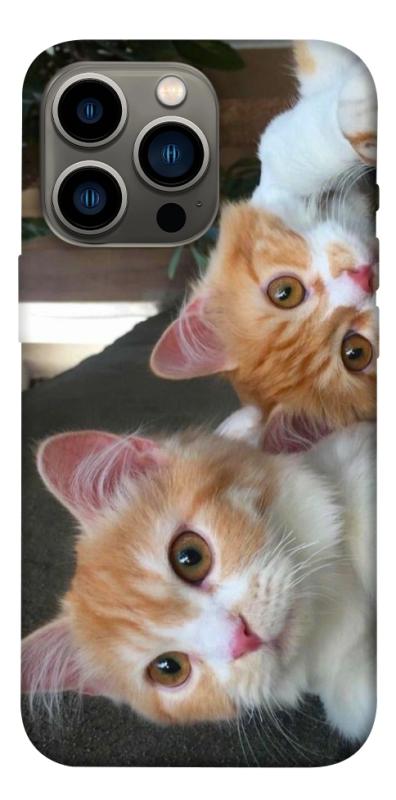 Чехол itsPrint Fluffy Duo для Apple iPhone 13 Pro (6.1"), животные, купить оптом с доставкой
