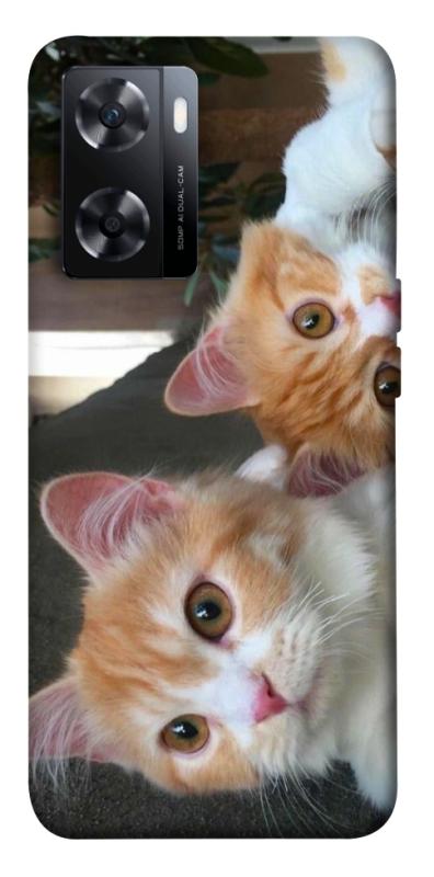 Чехол itsPrint Fluffy Duo для OnePlus Nord N20 SE, животные, купить оптом с доставкой