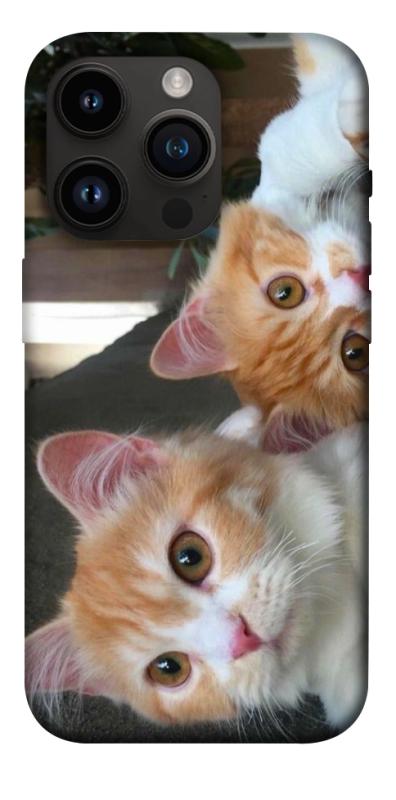 Чехол itsPrint Fluffy Duo для Apple iPhone 14 Pro (6.1"), животные, купить оптом с доставкой