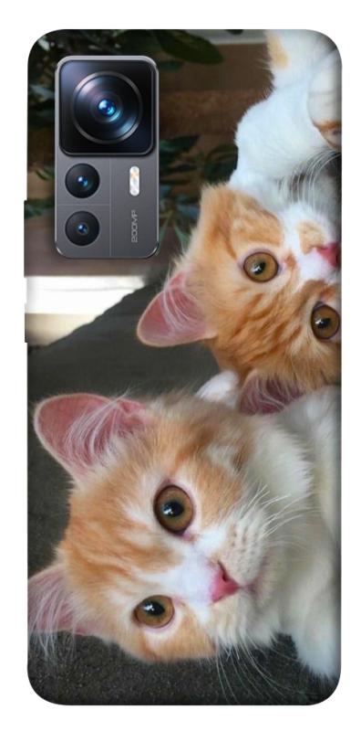 Чехол itsPrint Fluffy Duo для Xiaomi 12T / 12T Pro, животные, купить оптом с доставкой
