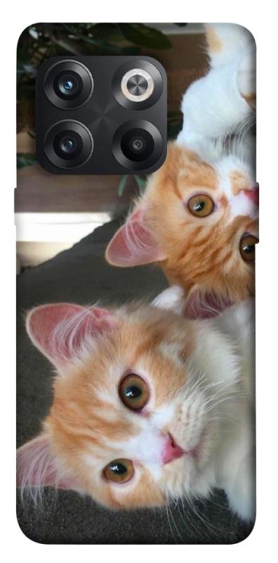 Чехол itsPrint Fluffy Duo для OnePlus 10T, животные, купить оптом с доставкой