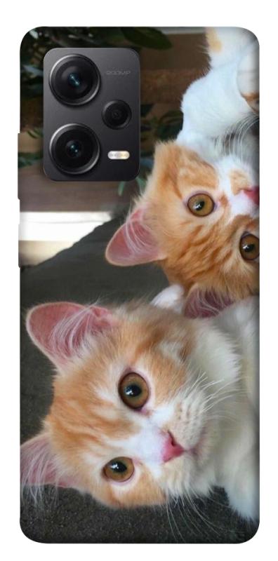 Чехол itsPrint Fluffy Duo для Xiaomi Redmi Note 12 Pro+ 5G, животные, купить оптом с доставкой