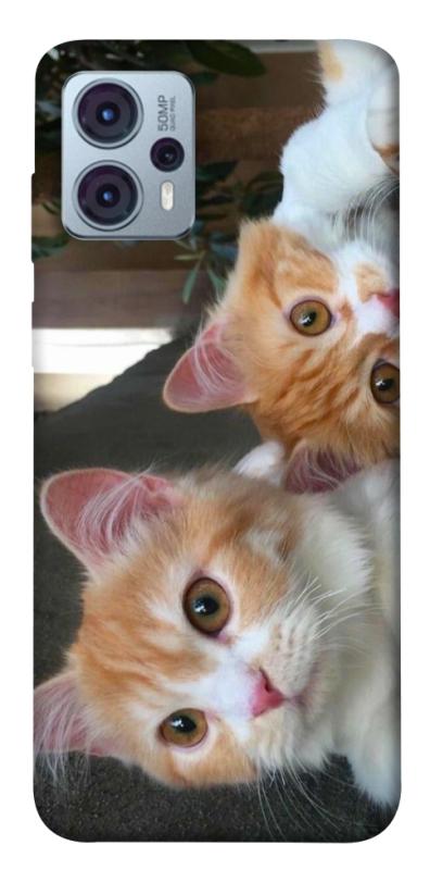 Чехол itsPrint Fluffy Duo для Motorola Moto G23, животные, купить оптом с доставкой