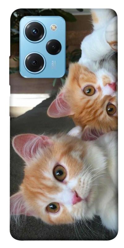 Чехол itsPrint Fluffy Duo для Xiaomi Poco X5 Pro 5G, животные, купить оптом с доставкой