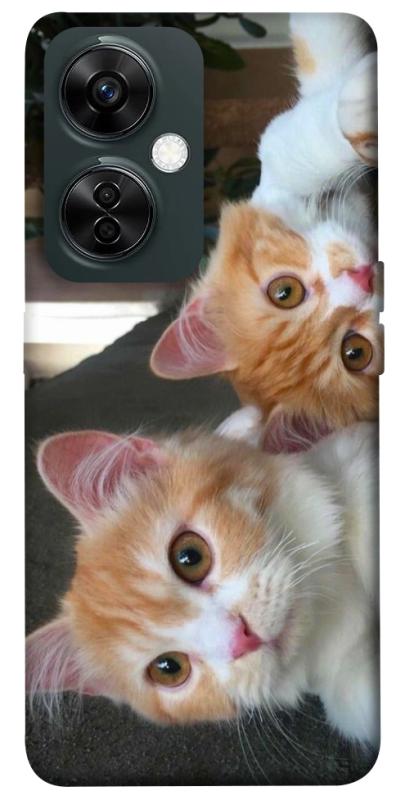 Чехол itsPrint Fluffy Duo для OnePlus Nord CE 3 Lite, животные, купить оптом с доставкой