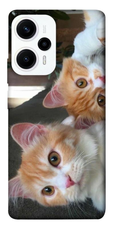 Чехол itsPrint Fluffy Duo для Xiaomi Poco F5 / Note 12 Turbo, животные, купить оптом с доставкой