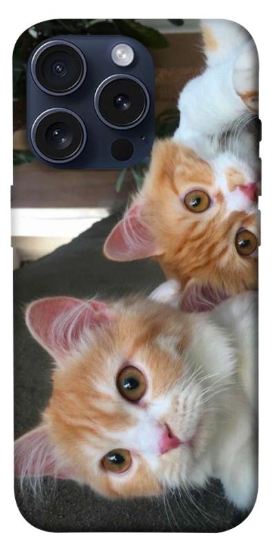Чохол itsPrint Fluffy Duo для Apple iPhone 15 Pro (6.1"), тварини, купити оптом з доставкою