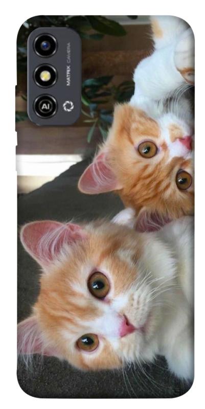 Чохол itsPrint Fluffy Duo для ZTE Blade A53, тварини, купити оптом з доставкою