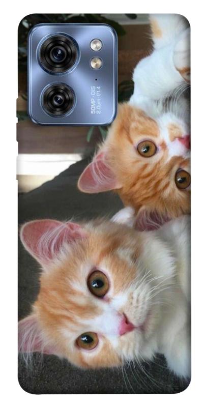 Чехол itsPrint Fluffy Duo для Motorola Edge 40, животные, купить оптом с доставкой