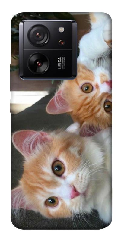 Чехол itsPrint Fluffy Duo для Xiaomi 13T, животные, купить оптом с доставкой