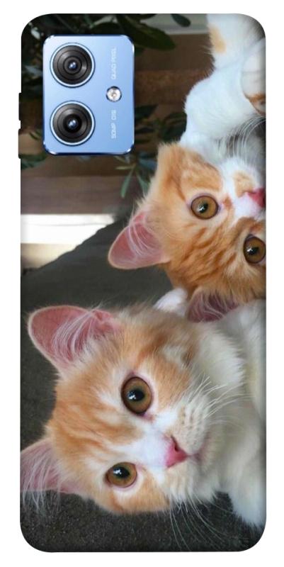 Чохол itsPrint Fluffy Duo для Motorola Moto G84, тварини, купити оптом з доставкою