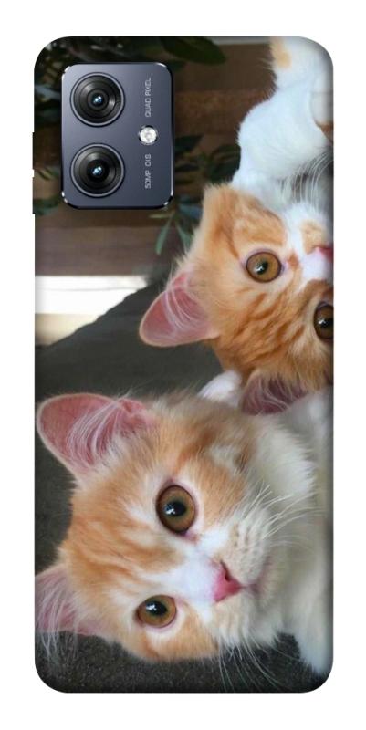 Чехол itsPrint Fluffy Duo для Motorola Moto G54, животные, купить оптом с доставкой