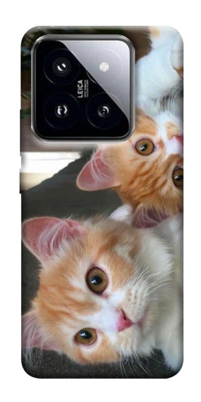 Чохол itsPrint Fluffy Duo для Xiaomi 14 Pro, тварини, купити оптом з доставкою