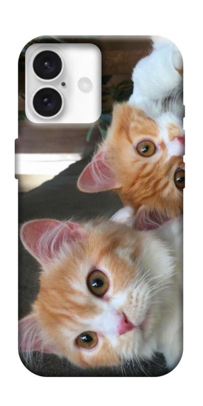 Чохол itsPrint Fluffy Duo для Apple iPhone 16 Plus (6.7"), тварини, купити оптом з доставкою