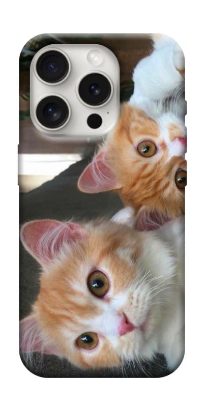 Чехол itsPrint Fluffy Duo для Apple iPhone 16 Pro Max (6.9"), животные, купить оптом с доставкой