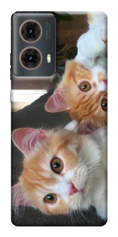 Чехол itsPrint Fluffy Duo для Motorola Moto G85, животные, купить оптом с доставкой