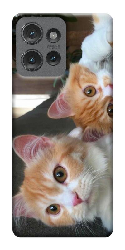 Чехол itsPrint Fluffy Duo для Motorola Edge 50, животные, купить оптом с доставкой