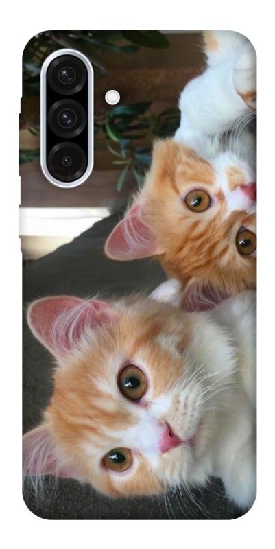Чехол itsPrint Fluffy Duo для Samsung Galaxy A56 5G, животные, купить оптом с доставкой