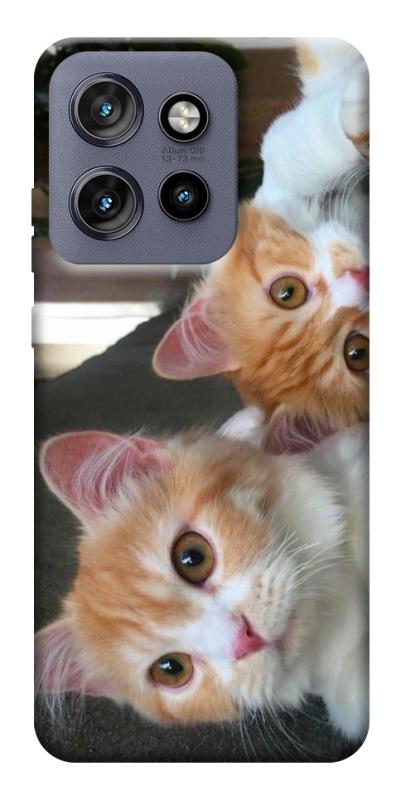 Чехол itsPrint Fluffy Duo для Motorola Edge 50 Neo, животные, купить оптом с доставкой