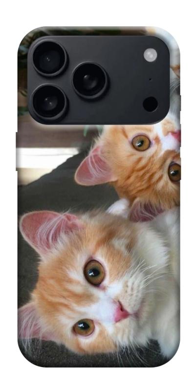 Чохол itsPrint Fluffy Duo для Apple iPhone 17 Pro Max (6.9"), тварини, купити оптом з доставкою