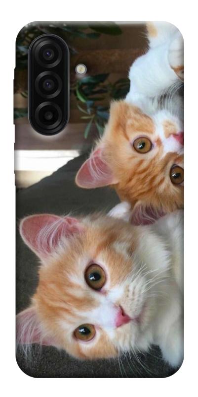 Чехол itsPrint Fluffy Duo для Samsung Galaxy A17 5G/4G, животные, купить оптом с доставкой