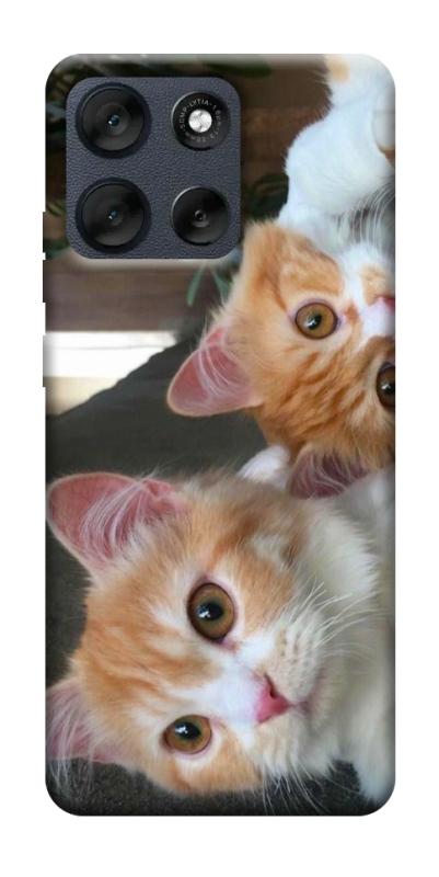 Чехол itsPrint Fluffy Duo для Motorola Moto G56 5G, животные, купить оптом с доставкой