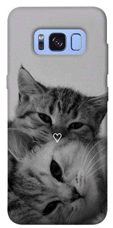 Чехол itsPrint Grey cats для Samsung G950 Galaxy S8, животные, купить оптом с доставкой