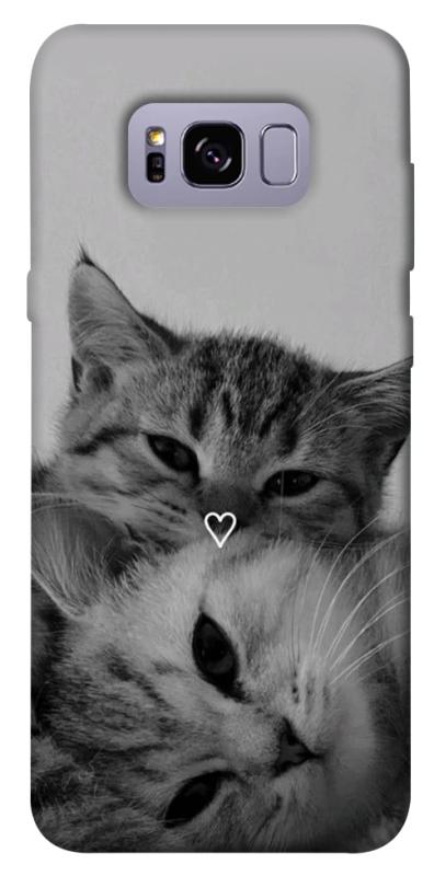 Чехол itsPrint Grey cats для Samsung G955 Galaxy S8 Plus, животные, купить оптом с доставкой