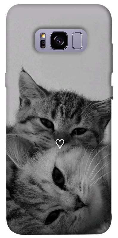 Чохол itsPrint Grey cats для Samsung G955 Galaxy S8 Plus, котики, купити оптом з доставкою