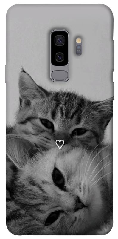 Чехол itsPrint Grey cats для Samsung Galaxy S9+, животные, купить оптом с доставкой